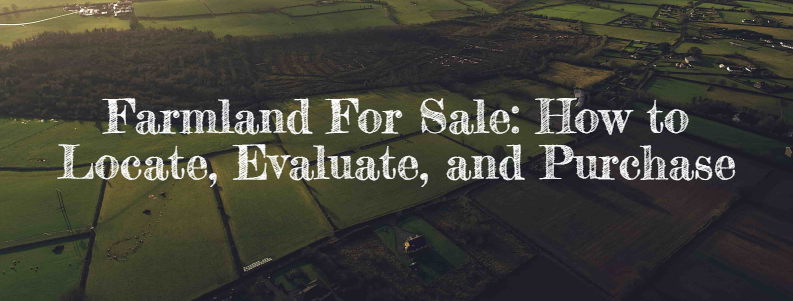 Farmland For Sale: How to Locate, Evaluate, and Purchase banner image